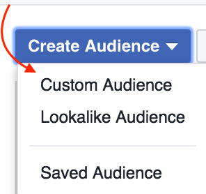 create custom audience