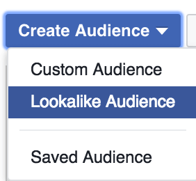 create lookalike audience